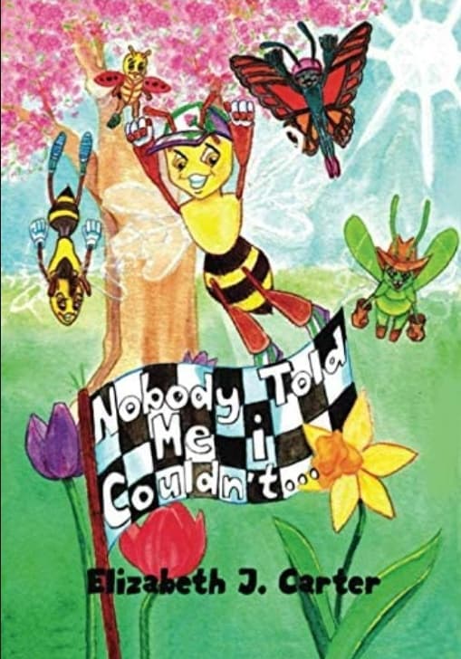 Nobody Told Me I Couldn't...