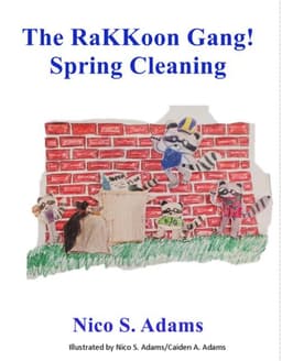 The RaKKoon Gang! Spring Cleaning