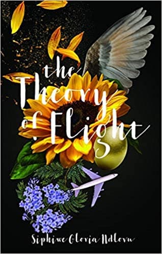The Theory of Flight